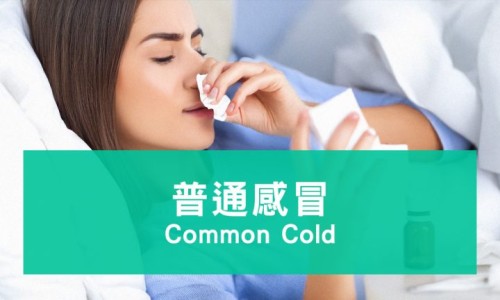 胃寒能吃霍香清胃胶囊吗-胃寒能吃藿香清胃胶囊网 - 胃寒能吃藿香清胃胶囊吗女性,胃寒能吃霍香清胃胶囊吗