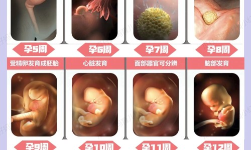 胃寒能吃霍香清胃胶囊吗-胃寒能吃藿香清胃胶囊网 - 胃寒能吃藿香清胃胶囊吗女性,胃寒能吃霍香清胃胶囊吗