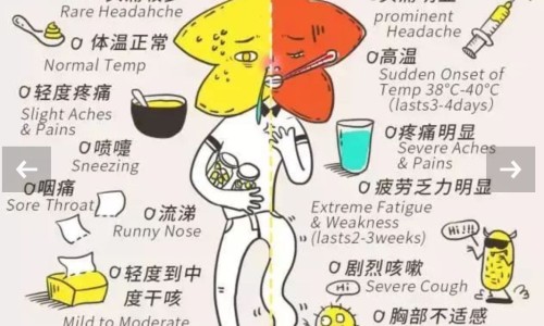 胃寒能吃霍香清胃胶囊吗-胃寒能吃藿香清胃胶囊网 - 胃寒能吃藿香清胃胶囊吗女性,胃寒能吃霍香清胃胶囊吗
